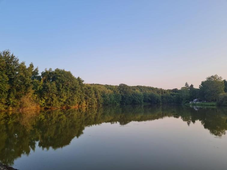 Camping De La Reuille Flere-la-Riviere Εξωτερικό φωτογραφία